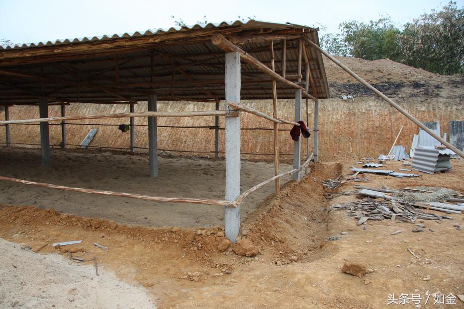 发酵床死床了怎么恢复？需要重新制作吗？