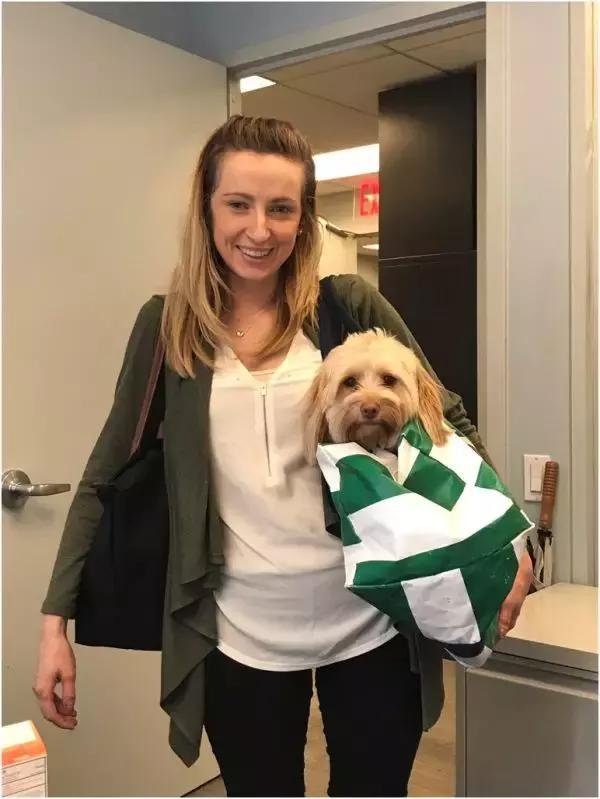 歪果仁玩法视频教程,歪果仁最佳玩法