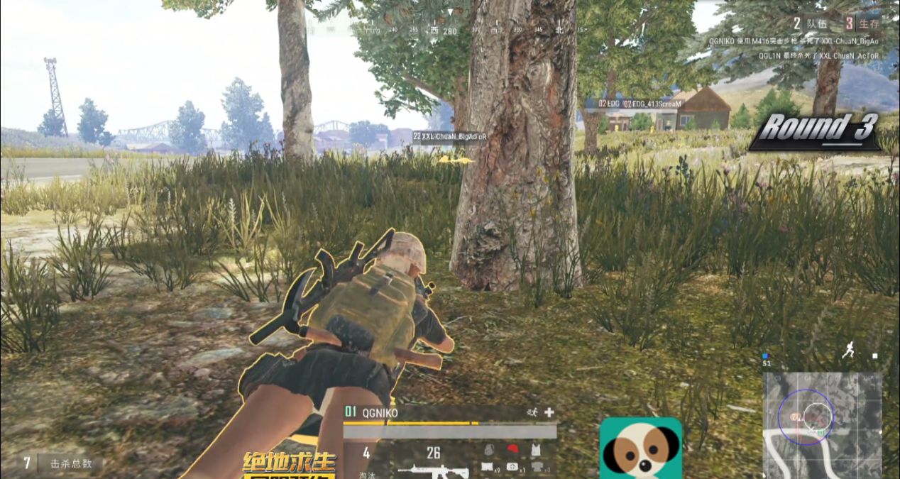 qm仙境吃鸡全民贺岁杯,edg吃鸡决赛