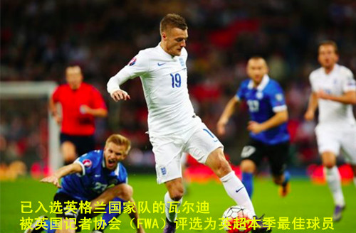 野百合也会有春天翻唱,野百合也有春天结局