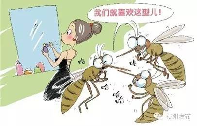 城中花园小区高层住户一晚粘住四五只老鼠？夏天到了，老鼠和蟑螂都飞天了！