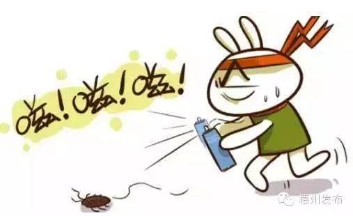 城中花园小区高层住户一晚粘住四五只老鼠？夏天到了，老鼠和蟑螂都飞天了！