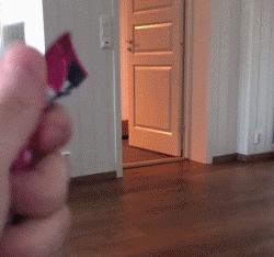 猫的外表特征,公的缅因猫有多帅