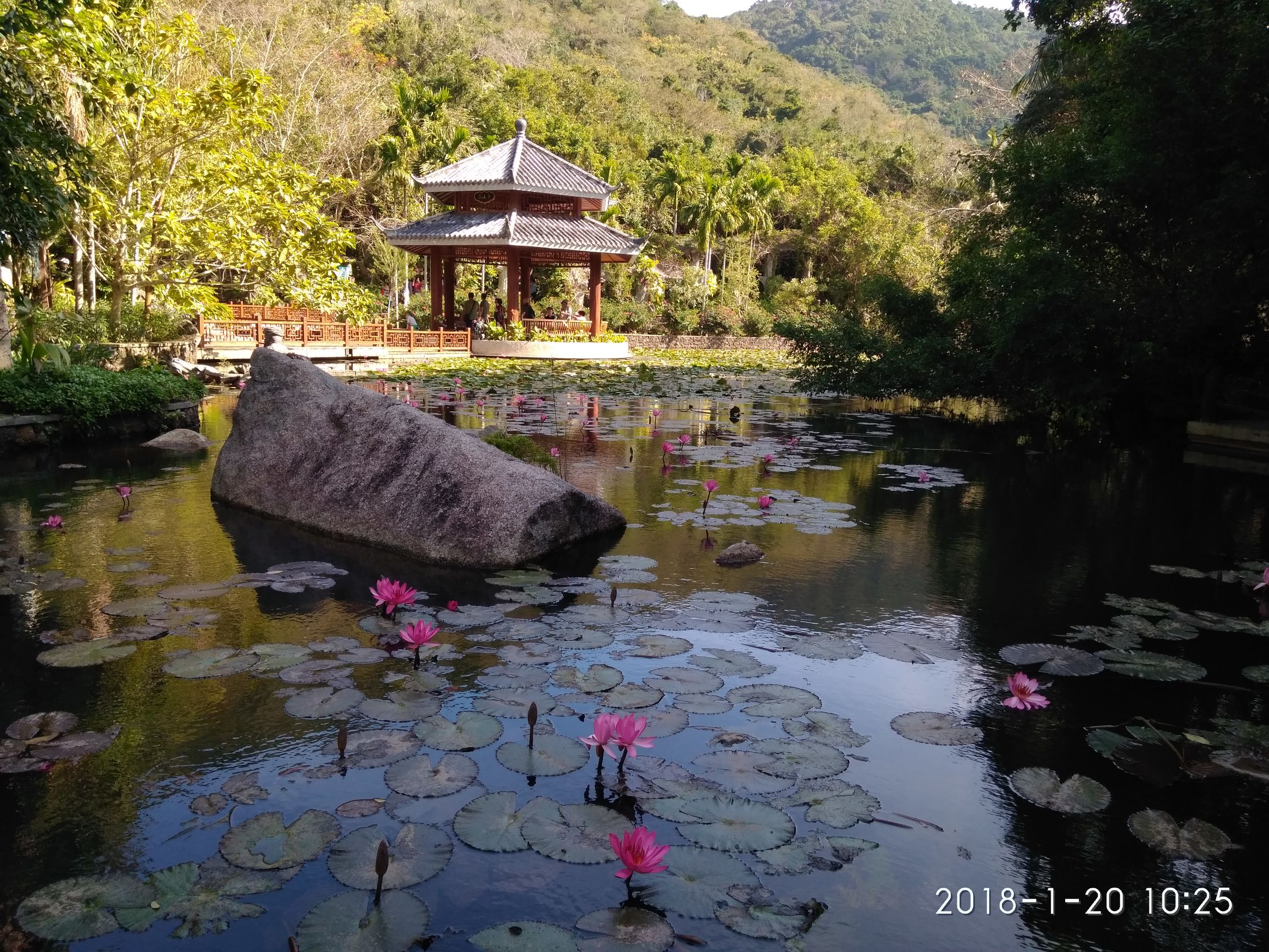 三亚亚龙湾热带天堂森林公园,三亚游玩攻略亚龙湾森林天堂