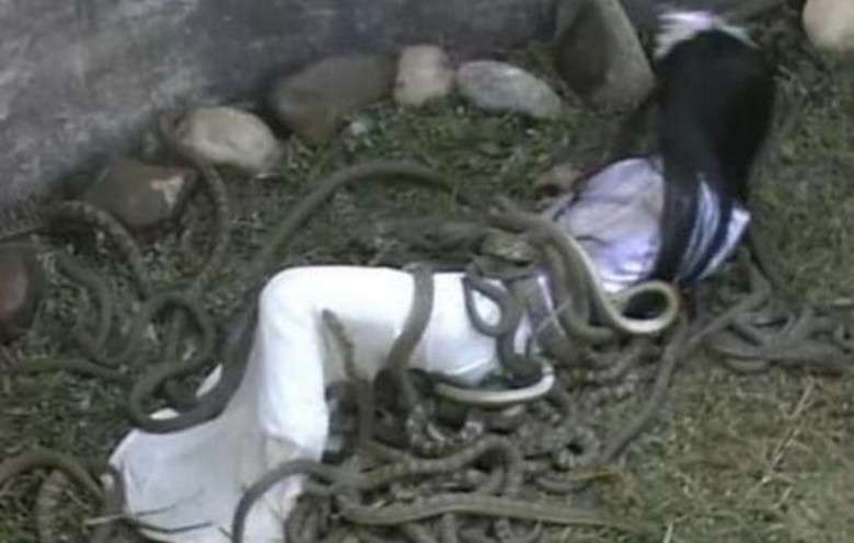 历史上虿盆之刑,虿盆之刑都有什么