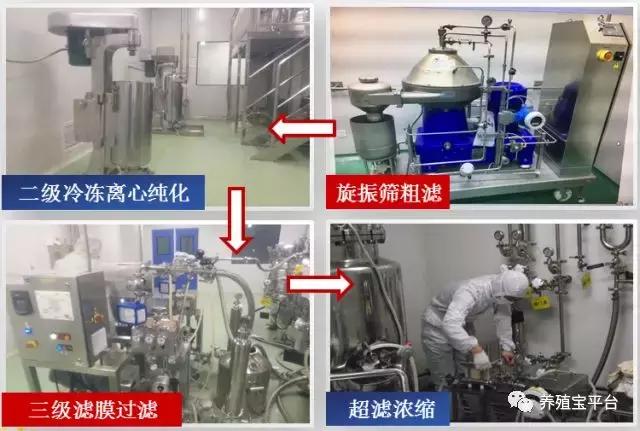 养鸡需要打哪些疫苗,养鸡神药到底是什么