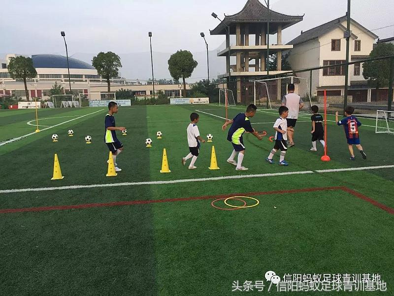 信阳蚂蚁足球俱乐部假日足球赛,信阳蚂蚁足球俱乐部青训班