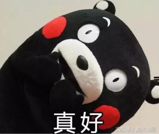 今年的网剧,就靠这几部了