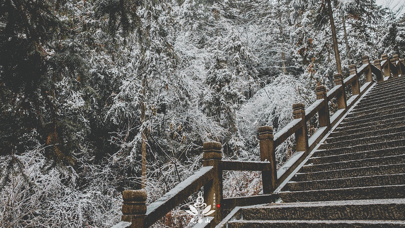 佛门圣地安徽九华山,九华山求佛一日游