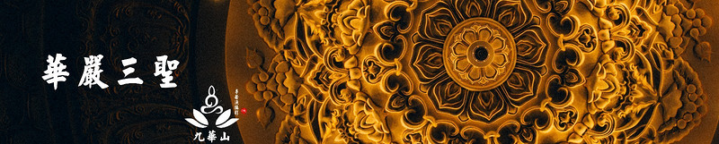 佛门圣地安徽九华山,九华山求佛一日游