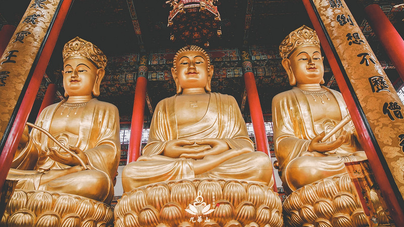 佛门圣地安徽九华山,九华山求佛一日游