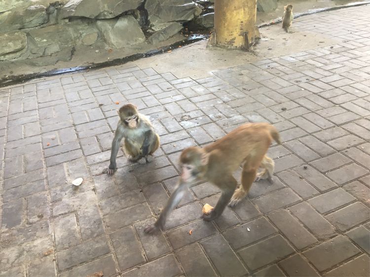 小屁孩的南京之旅,记录小屁孩的旅途
