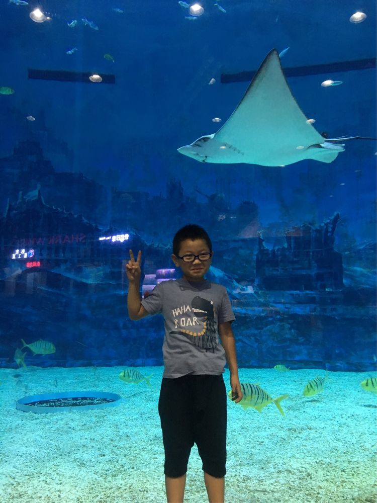 小屁孩的南京之旅,记录小屁孩的旅途