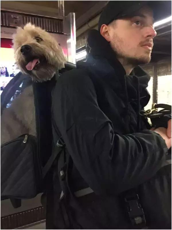 歪果仁玩法视频教程,歪果仁最佳玩法