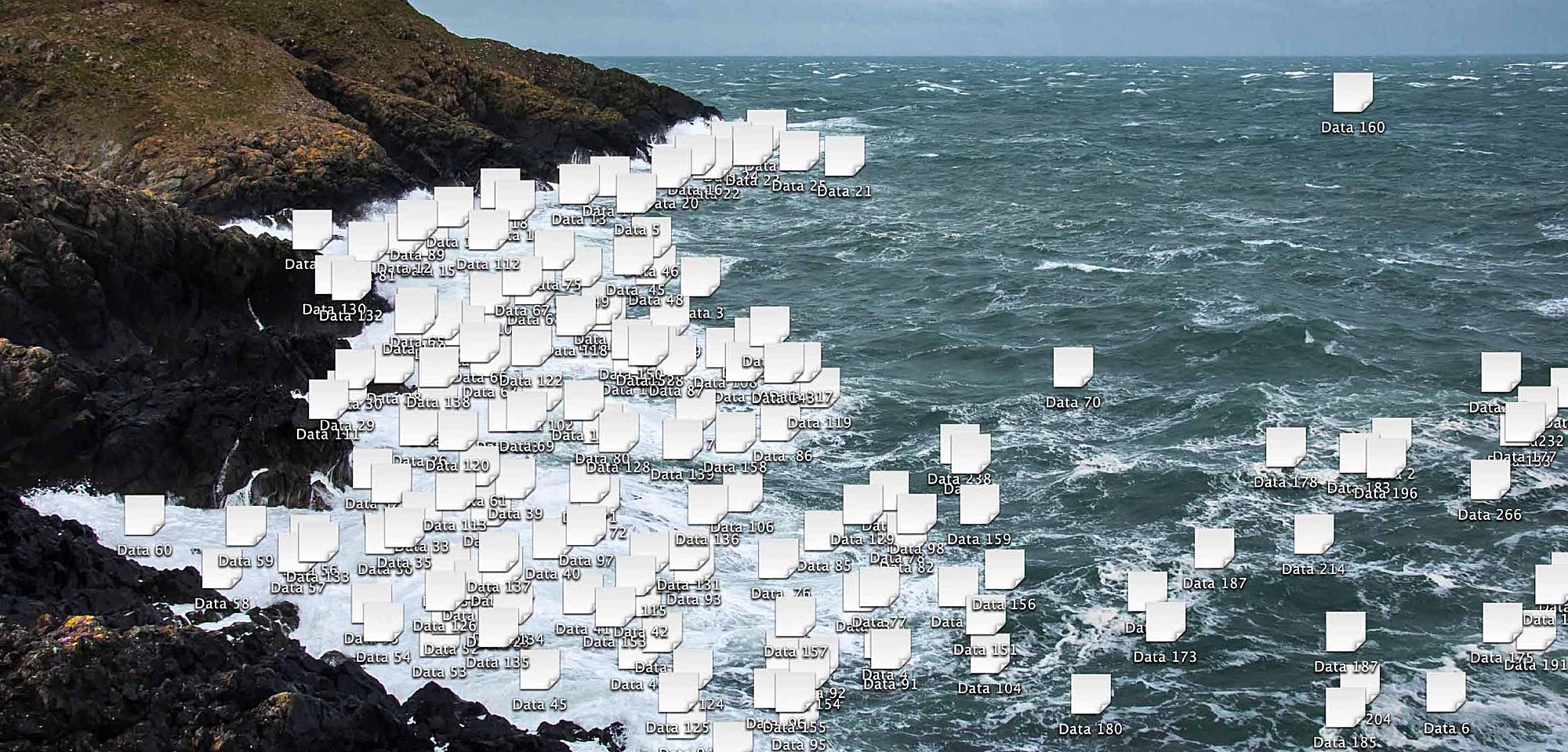 艺术家的电脑文件夹里藏着“双飞艺术”