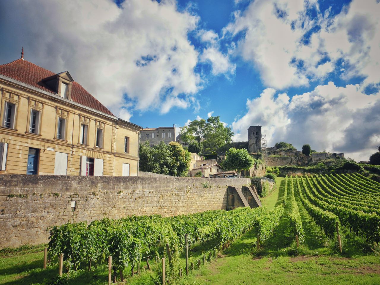 cestlavie南宁店,漫步法国葡萄酒之旅