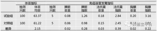 养鸡需要打哪些疫苗,养鸡神药到底是什么