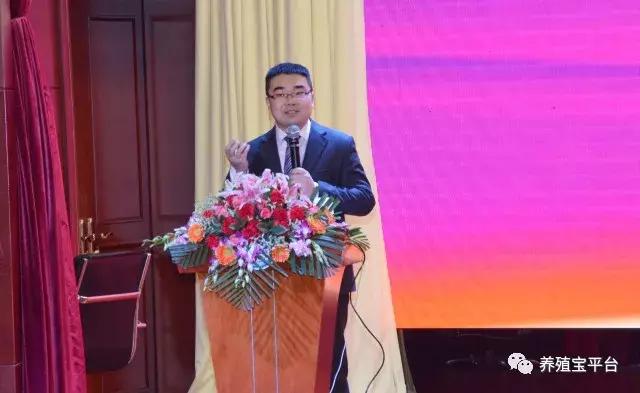 养鸡需要打哪些疫苗,养鸡神药到底是什么