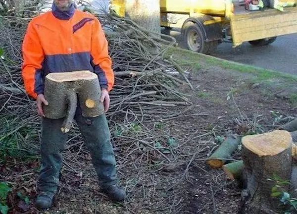 思想龌龊的人看什么都是脏的,思想脏的人看什么都脏