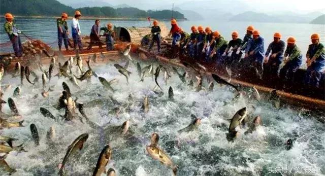 家有万贯不如鱼汤泡米饭！开业五大福利等你来！充多少送多少！