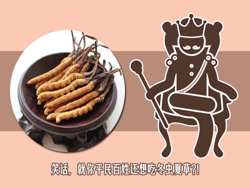 冬虫夏草为什么比黄金贵 (冬虫夏草为什么那么贵像黄金一样)