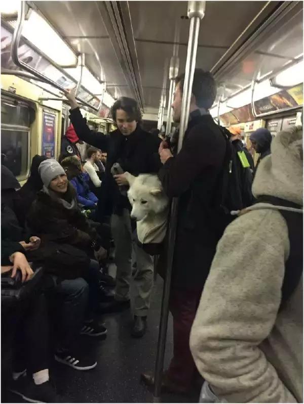 歪果仁玩法视频教程,歪果仁最佳玩法