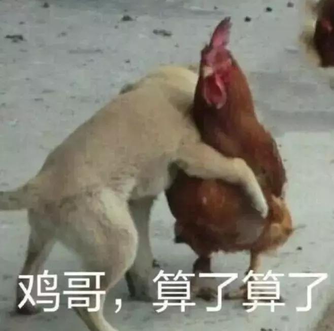 12生肖中一定要好好珍惜的生肖,十二生肖贺岁生肖