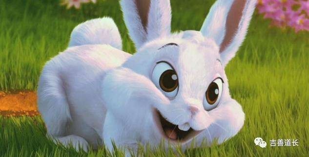 2018年生肖财运颜色,2018年各生肖的吉祥色