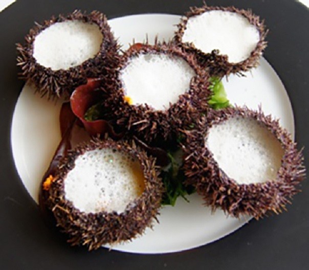 唯美食不可辜负，法国巴黎米其林美食之旅