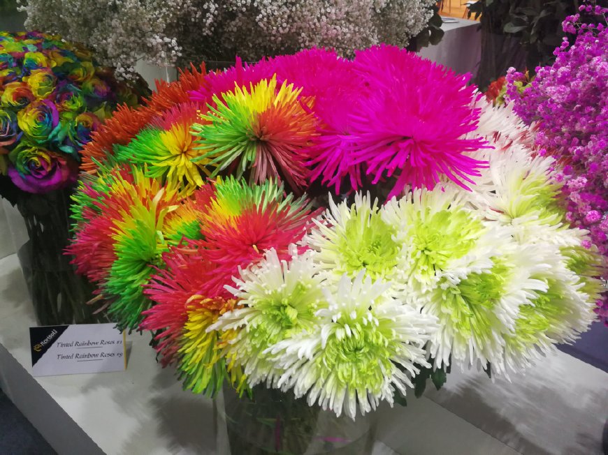 价格战是不是利润太高了,价格战的后果图片