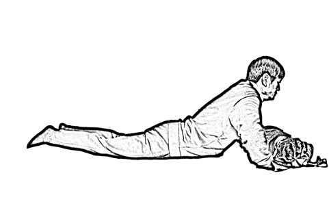龟息养生功最全技术分享收藏,堪比五禽戏的龟息养生功