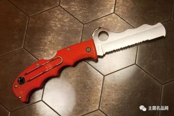 蜘蛛RescueAssistAtlanticSalt测评:同时拥有是怎样的体验