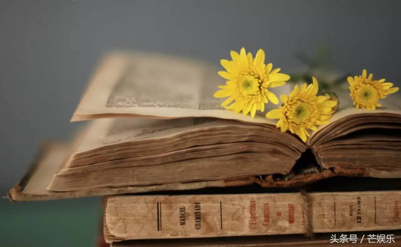 花更多的时间去做有意义的事情,多花一点时间做有意义的事