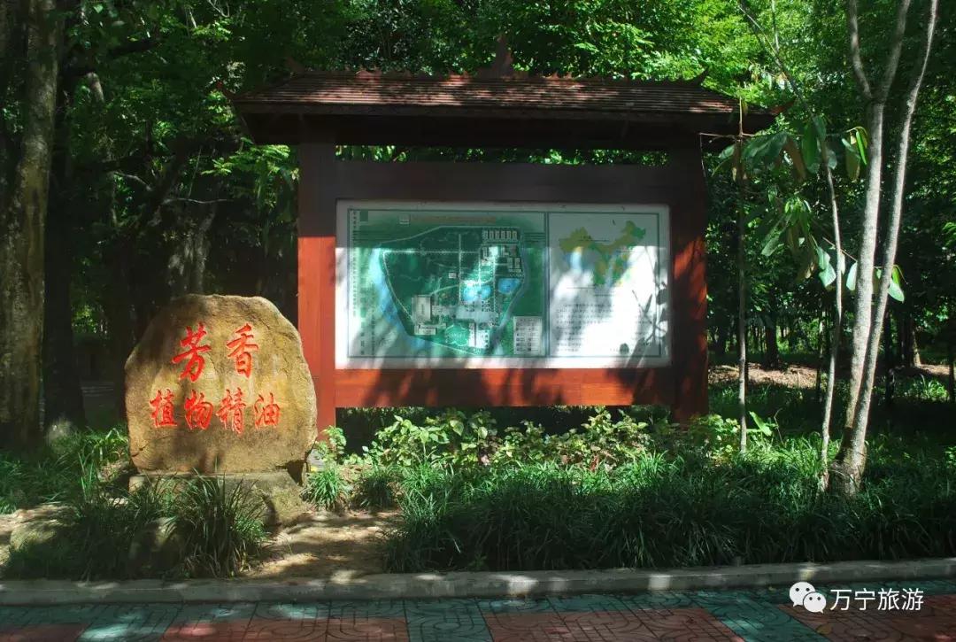 购物清单春节,春节购物清单竖版