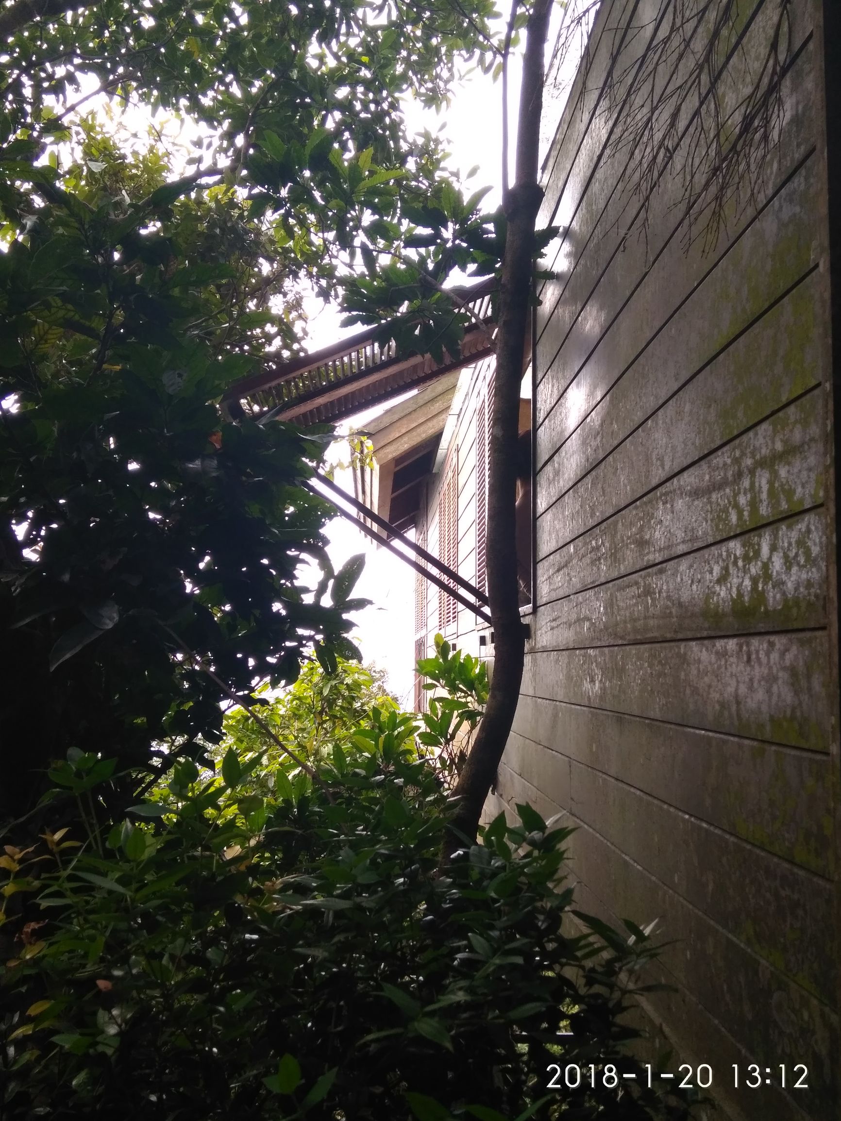 三亚亚龙湾热带天堂森林公园,三亚游玩攻略亚龙湾森林天堂