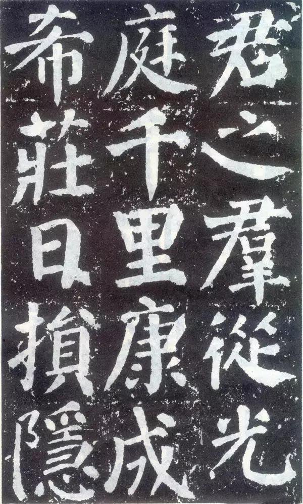 赵龙涛：绚烂之极，乃造平淡