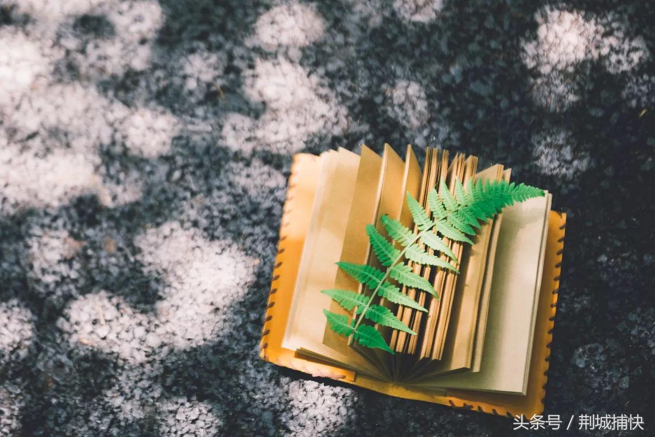 把钱花在女人身上后悔了,女孩子把钱花在刀刃上