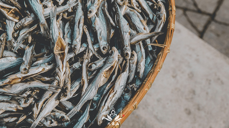 佛门圣地安徽九华山,九华山求佛一日游