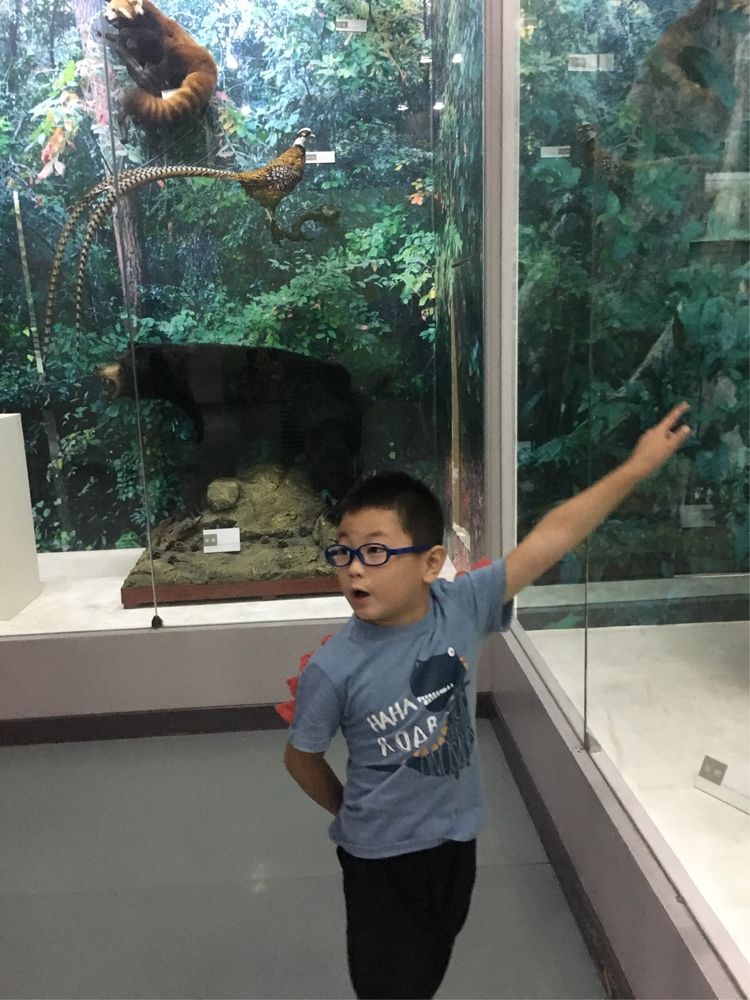 小屁孩的南京之旅,记录小屁孩的旅途