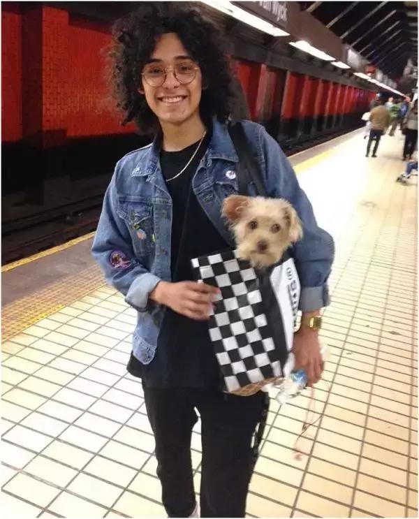 歪果仁玩法视频教程,歪果仁最佳玩法