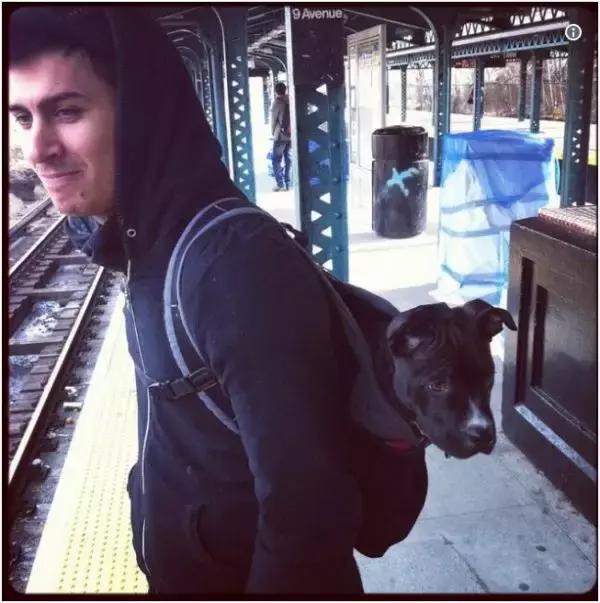 歪果仁玩法视频教程,歪果仁最佳玩法