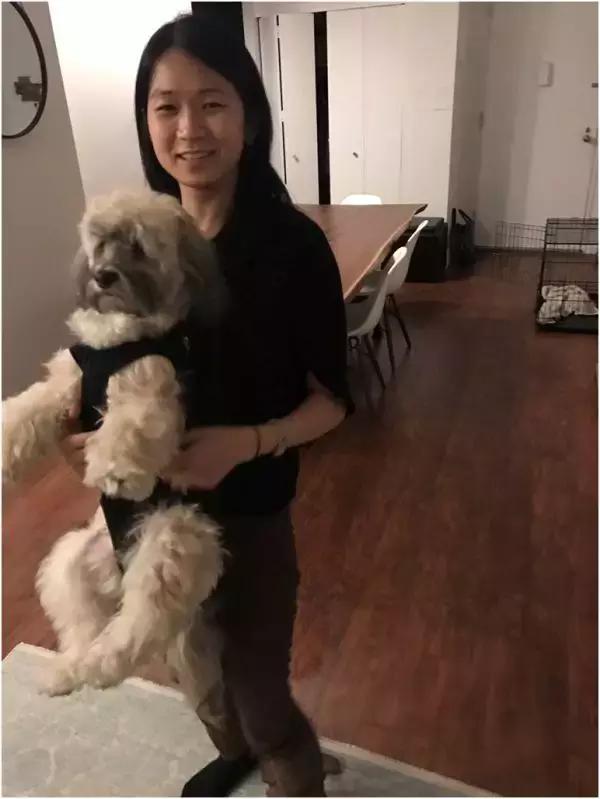 歪果仁玩法视频教程,歪果仁最佳玩法