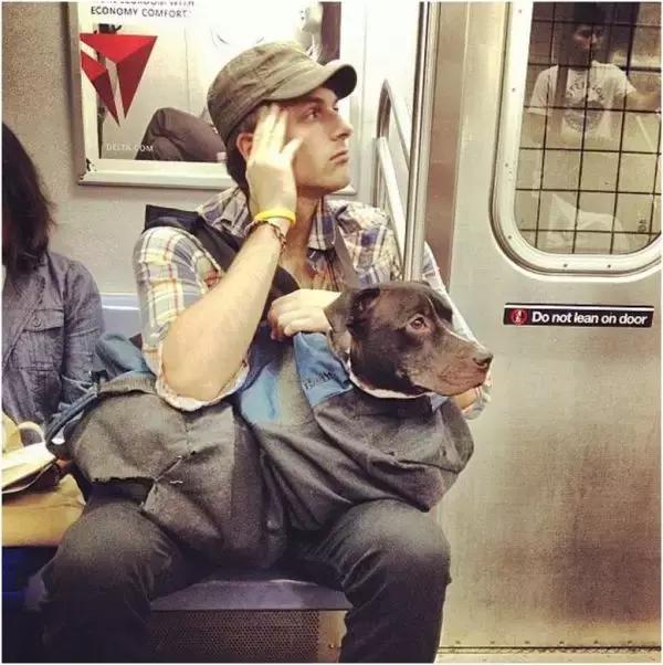 歪果仁玩法视频教程,歪果仁最佳玩法