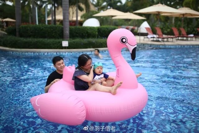 2017年工作总结视频,年终总结收获与展望