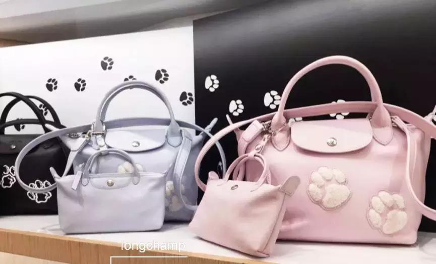 12生肖中一定要好好珍惜的生肖,十二生肖贺岁生肖