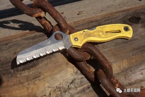 蜘蛛RescueAssistAtlanticSalt测评:同时拥有是怎样的体验