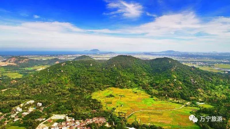 购物清单春节,春节购物清单竖版