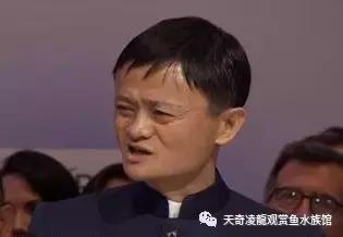 还在发送短信求财富指南？把一条龙鱼从20cm养到30cm就好了