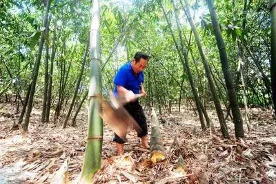 人情味浓厚的中国人,一个臭味相投的人