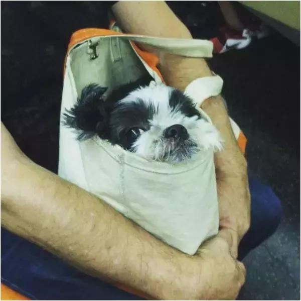 歪果仁玩法视频教程,歪果仁最佳玩法